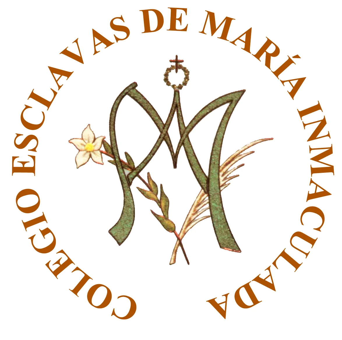 Colaborador